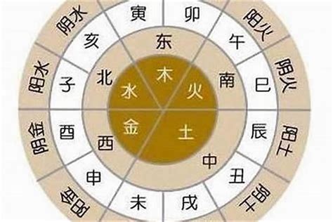 月字 五行|月字五行属什么